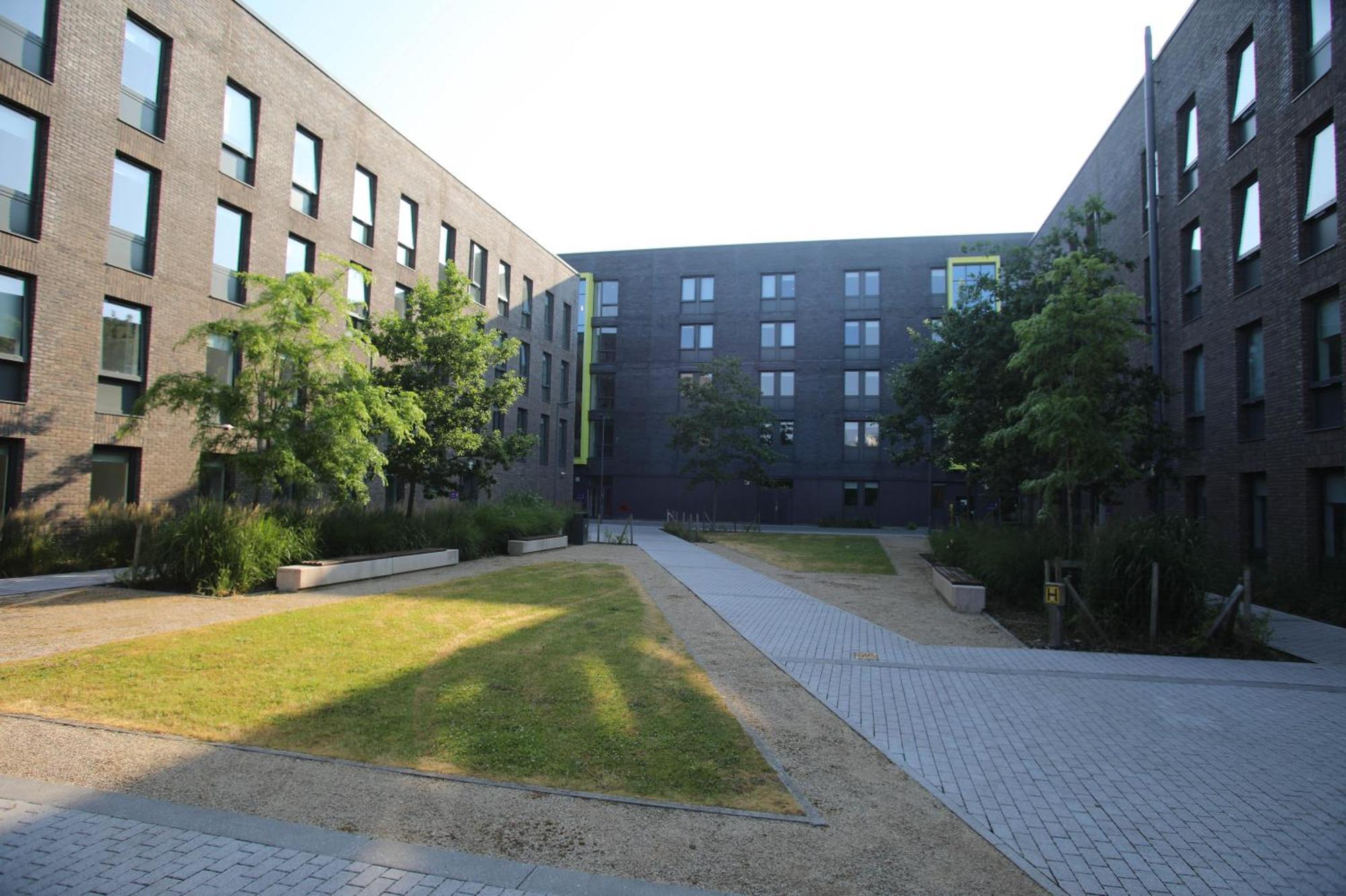 Goldcrest Village Apartments University Of Galway Zewnętrze zdjęcie