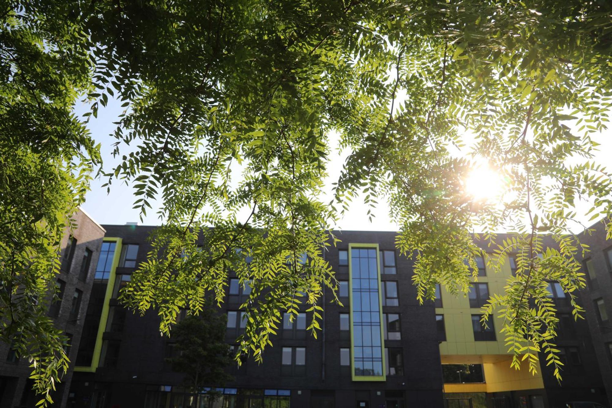 Goldcrest Village Apartments University Of Galway Zewnętrze zdjęcie